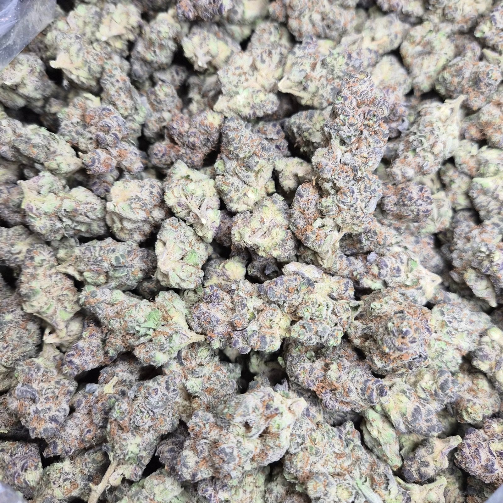 Strawberry Cough THCA Flower – Indoor Exotic Sativa | CaliGreenGold - CaliGreenGold