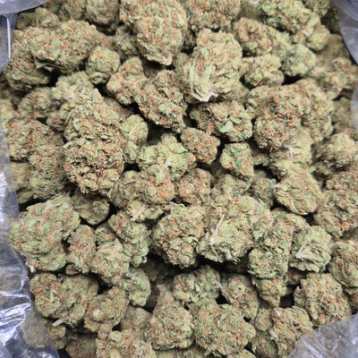 Super Jack THCA Flower – Indoor Exotic Sativa | CaliGreenGold - CaliGreenGold