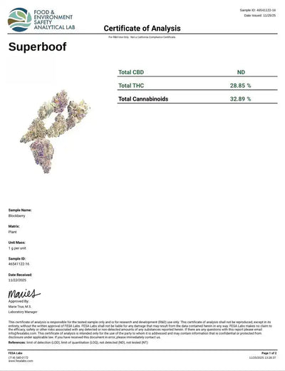 Superboof Exotic Indoor THCA Flower Sativa - CaliGreenGold