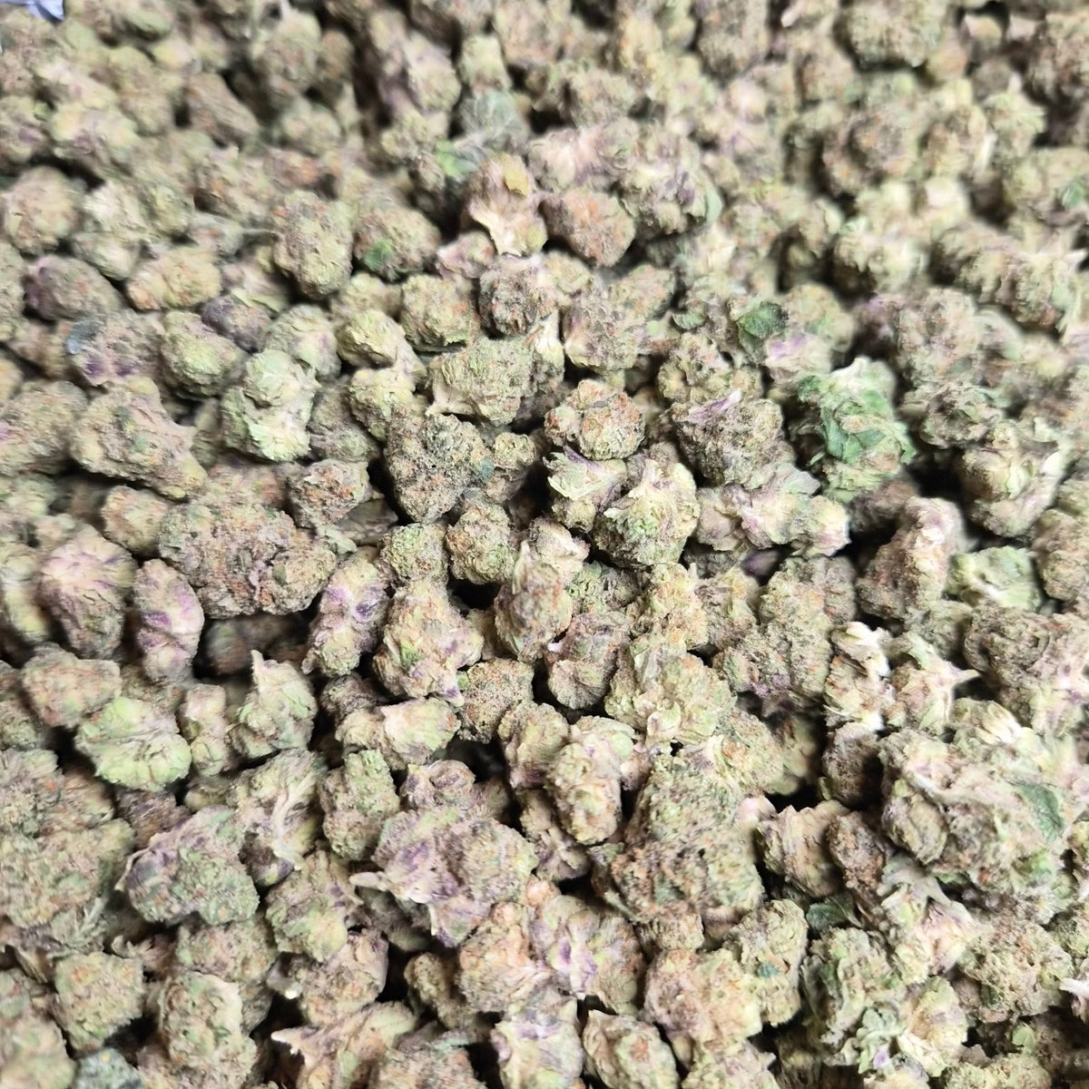 THCA Flower Mystery SMALLS – Indoor Exotic Hybrid | CaliGreenGold - CaliGreenGold