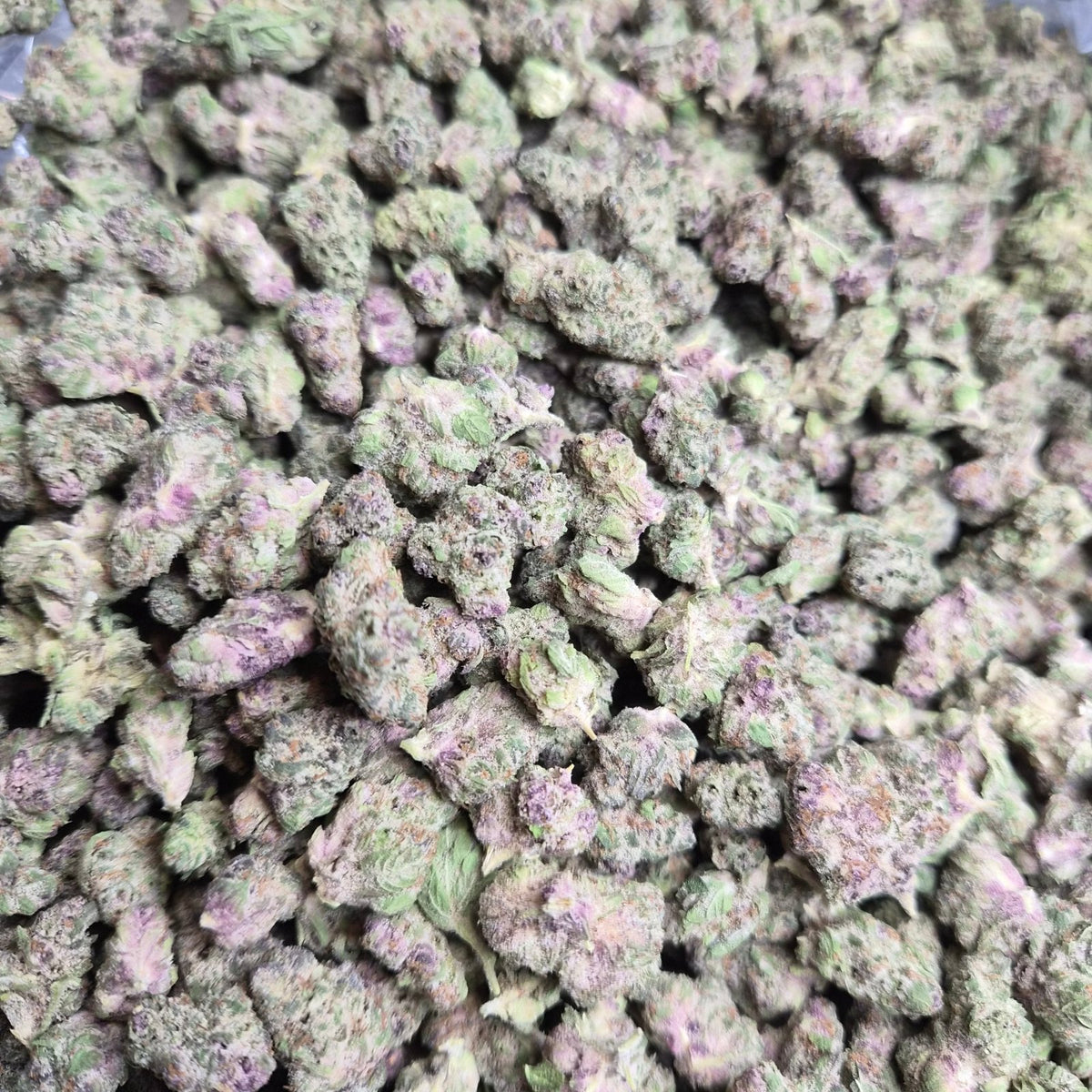 THCA Flower Mystery SMALLS – Indoor Exotic Sativa | CaliGreenGold - CaliGreenGold