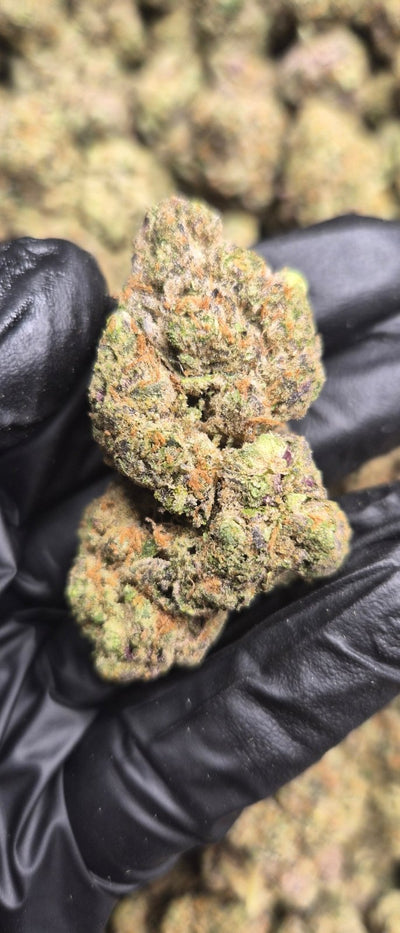 Waffle Cone Exotic Indoor THCA Flower Hybrid - CaliGreenGold