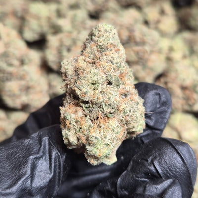 ZOAP Exotic THCA Flower Hybrid - CaliGreenGold