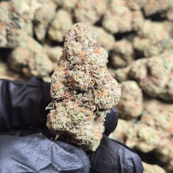 ZOAP THCA Flower – Indoor Exotic Hybrid | CaliGreenGold - CaliGreenGold